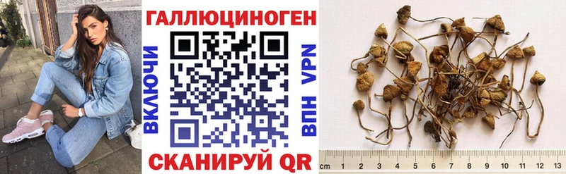 Псилоцибиновые грибы ЛСД  Красавино 