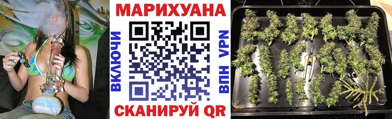 Бошки марихуана план  Красавино 